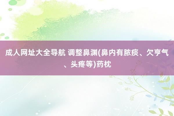 成人网址大全导航 调整鼻渊(鼻内有脓痰、欠亨气、头疼等)药枕