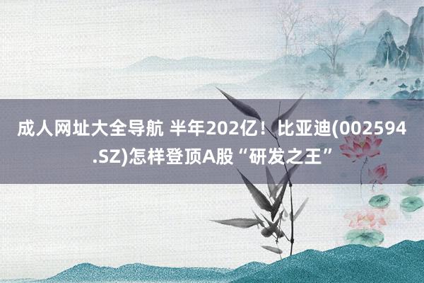 成人网址大全导航 半年202亿！比亚迪(002594.SZ)怎样登顶A股“研发之王”