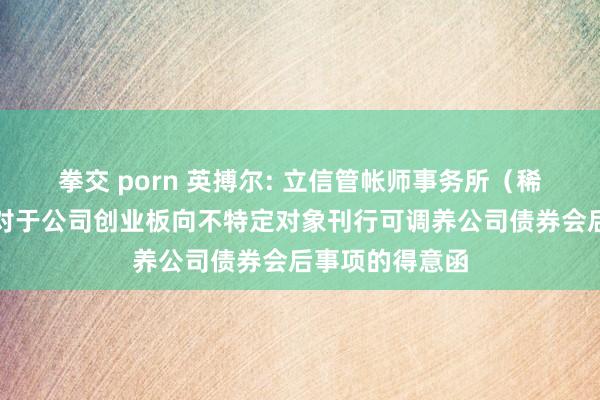 拳交 porn 英搏尔: 立信管帐师事务所（稀奇广宽结伴）对于公司创业板向不特定对象刊行可调养公司债券会后事项的得意函