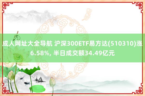 成人网址大全导航 沪深300ETF易方达(510310)涨6.58%, 半日成交额34.49亿元