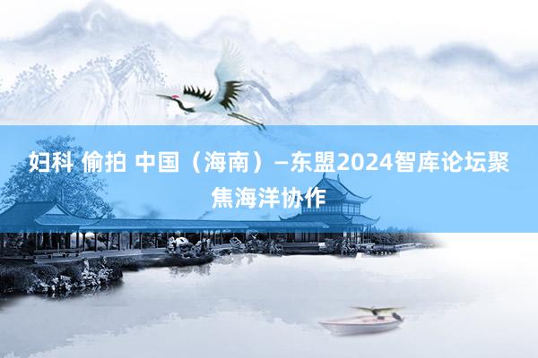 妇科 偷拍 中国（海南）—东盟2024智库论坛聚焦海洋协作