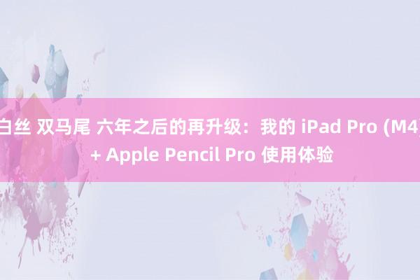 白丝 双马尾 六年之后的再升级：我的 iPad Pro (M4) + Apple Pencil Pro 使用体验