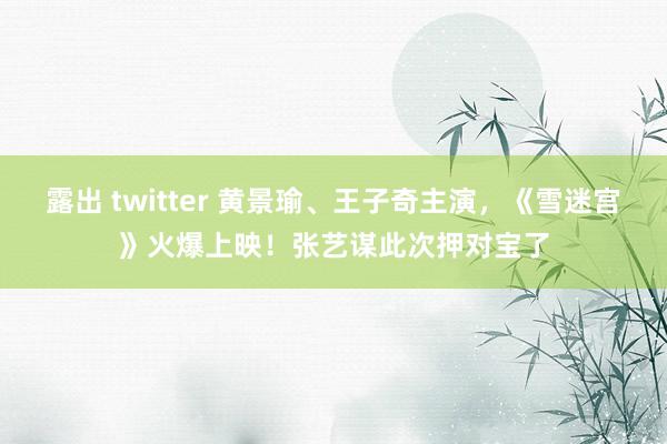 露出 twitter 黄景瑜、王子奇主演，《雪迷宫》火爆上映！张艺谋此次押对宝了