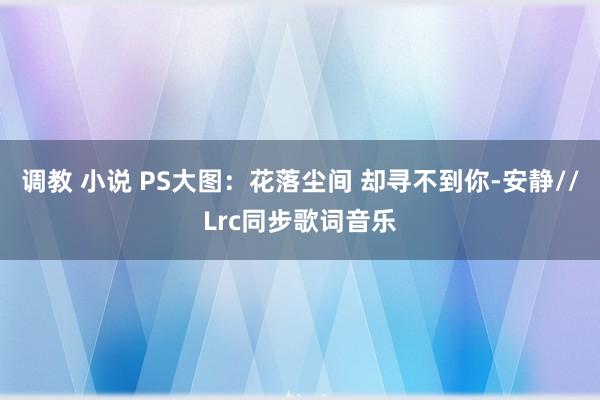 调教 小说 PS大图：花落尘间 却寻不到你-安静//Lrc同步歌词音乐