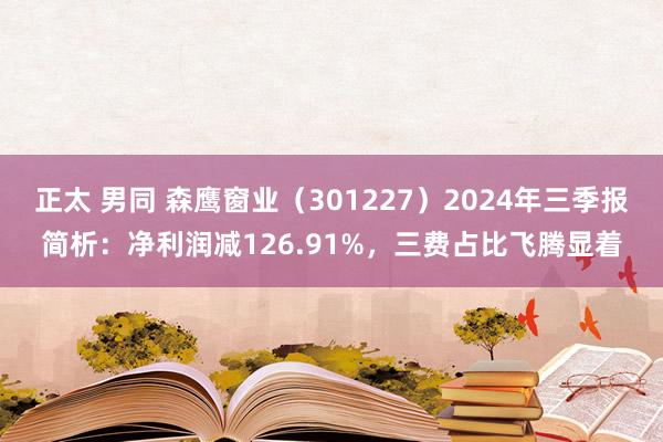 正太 男同 森鹰窗业（301227）2024年三季报简析：净利润减126.91%，三费占比飞腾显着