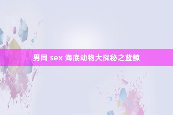 男同 sex 海底动物大探秘之蓝鲸