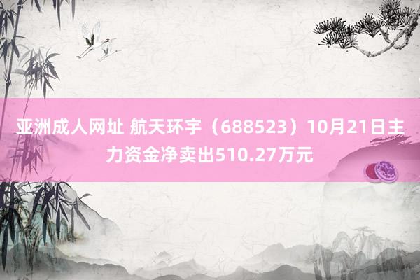 亚洲成人网址 航天环宇（688523）10月21日主力资金净卖出510.27万元