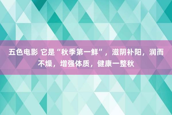 五色电影 它是“秋季第一鲜”，滋阴补阳，润而不燥，增强体质，健康一整秋