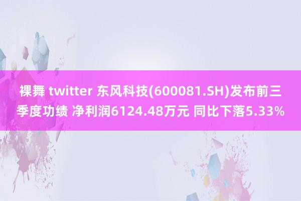 裸舞 twitter 东风科技(600081.SH)发布前三季度功绩 净利润6124.48万元 同比下落5.33%