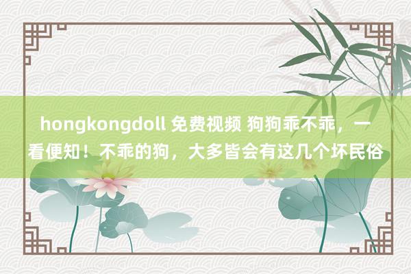 hongkongdoll 免费视频 狗狗乖不乖，一看便知！不乖的狗，大多皆会有这几个坏民俗