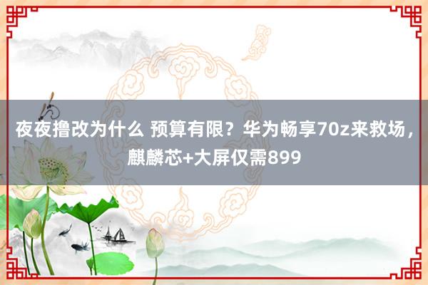 夜夜撸改为什么 预算有限？华为畅享70z来救场，麒麟芯+大屏仅需899