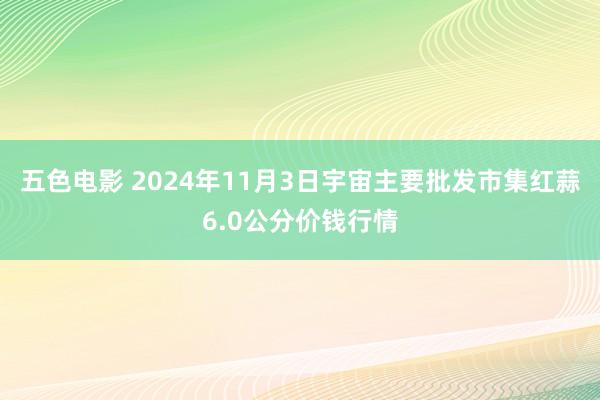 五色电影 2024年11月3日宇宙主要批发市集红蒜6.0公分价钱行情