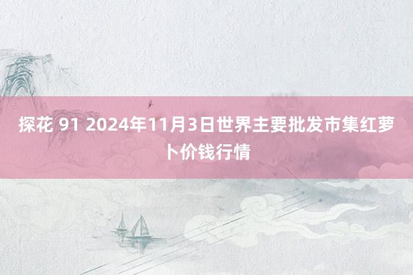 探花 91 2024年11月3日世界主要批发市集红萝卜价钱行情