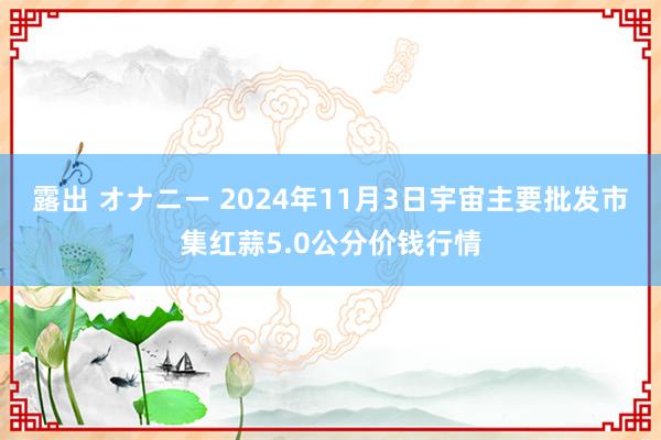 露出 オナニー 2024年11月3日宇宙主要批发市集红蒜5.0公分价钱行情