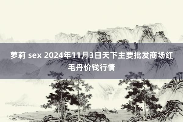 萝莉 sex 2024年11月3日天下主要批发商场红毛丹价钱行情