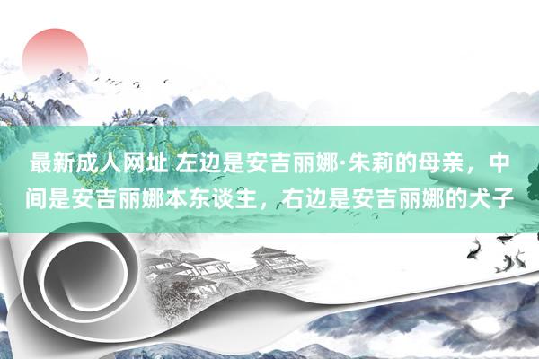 最新成人网址 左边是安吉丽娜·朱莉的母亲，中间是安吉丽娜本东谈主，右边是安吉丽娜的犬子