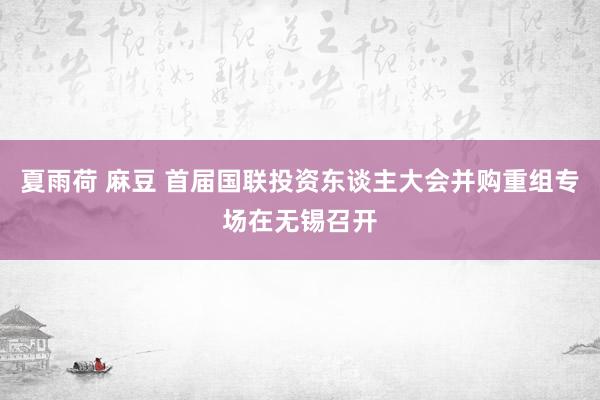 夏雨荷 麻豆 首届国联投资东谈主大会并购重组专场在无锡召开