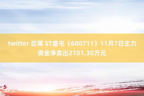 twitter 巨屌 ST盛屯（600711）11月7日主力资金净卖出2101.30万元