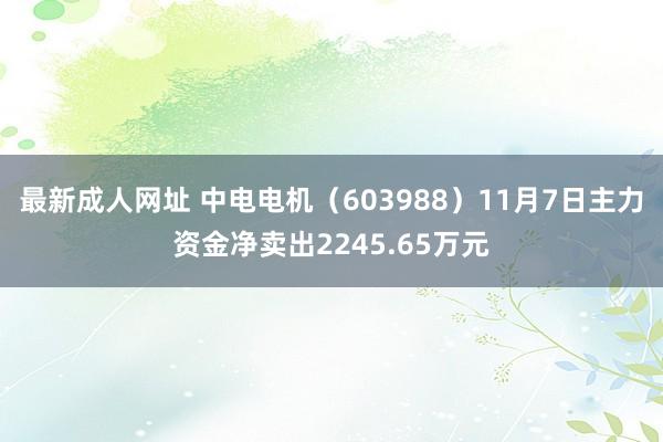 最新成人网址 中电电机（603988）11月7日主力资金净卖出2245.65万元