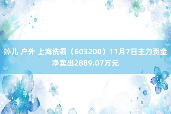 婷儿 户外 上海洗霸（603200）11月7日主力资金净卖出2889.07万元