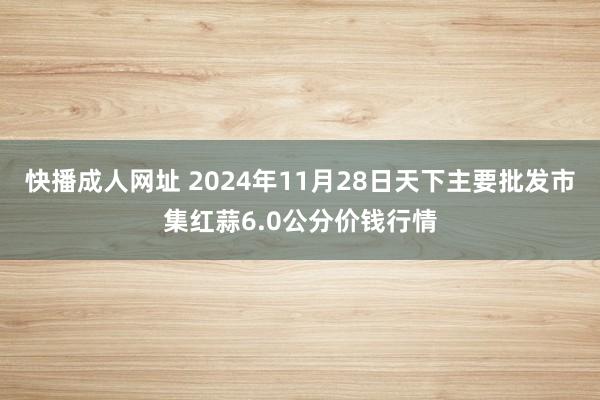 快播成人网址 2024年11月28日天下主要批发市集红蒜6.0公分价钱行情