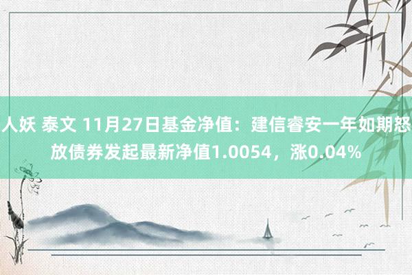 人妖 泰文 11月27日基金净值：建信睿安一年如期怒放债券发起最新净值1.0054，涨0.04%