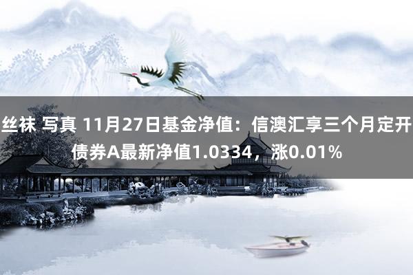 丝袜 写真 11月27日基金净值：信澳汇享三个月定开债券A最新净值1.0334，涨0.01%