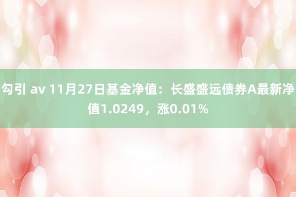 勾引 av 11月27日基金净值：长盛盛远债券A最新净值1.0249，涨0.01%