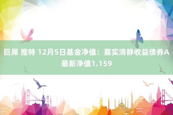 巨屌 推特 12月5日基金净值：嘉实清静收益债券A最新净值1.159