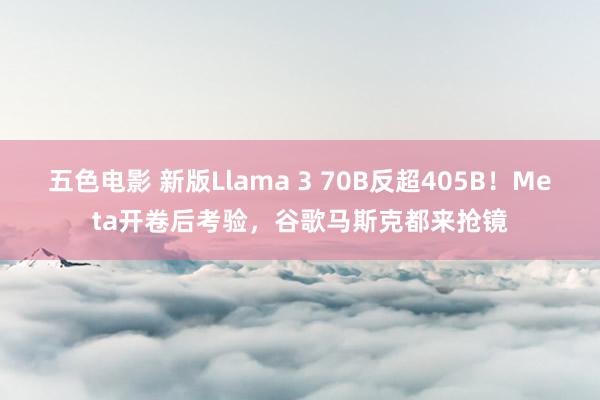 五色电影 新版Llama 3 70B反超405B！Meta开卷后考验，谷歌马斯克都来抢镜