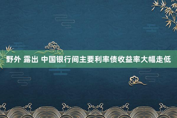 野外 露出 中国银行间主要利率债收益率大幅走低