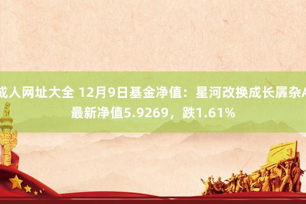 成人网址大全 12月9日基金净值：星河改换成长羼杂A最新净值5.9269，跌1.61%