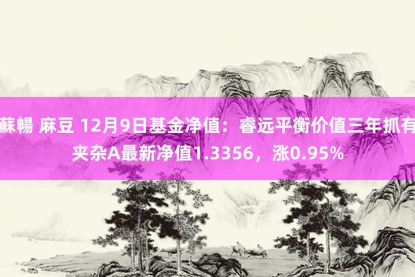 蘇暢 麻豆 12月9日基金净值：睿远平衡价值三年抓有夹杂A最新净值1.3356，涨0.95%