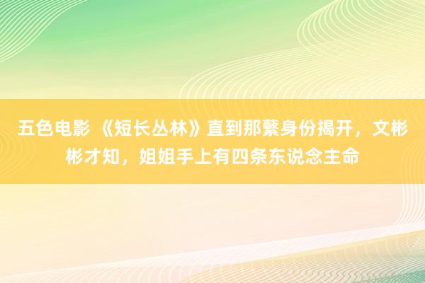 五色电影 《短长丛林》直到那蘩身份揭开，文彬彬才知，姐姐手上有四条东说念主命