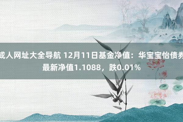 成人网址大全导航 12月11日基金净值：华宝宝怡债券最新净值1.1088，跌0.01%