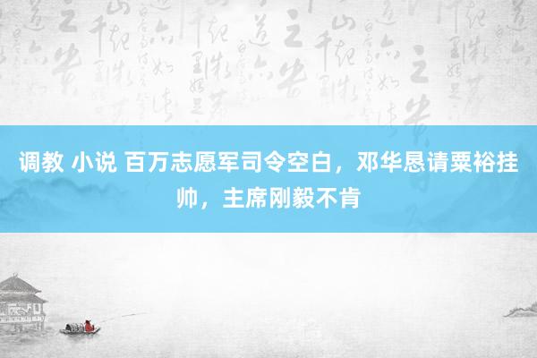 调教 小说 百万志愿军司令空白，邓华恳请粟裕挂帅，主席刚毅不肯