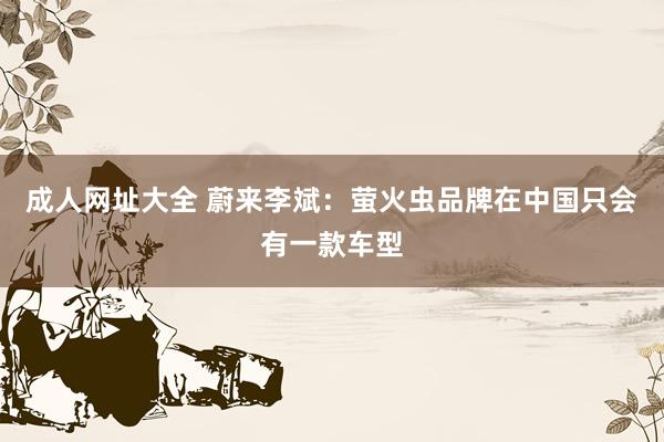 成人网址大全 蔚来李斌：萤火虫品牌在中国只会有一款车型