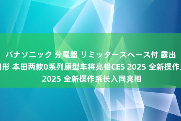 パナソニック 分電盤 リミッタースペース付 露出・半埋込両用形 本田两款0系列原型车将亮相CES 2025 全新操作系长入同亮相