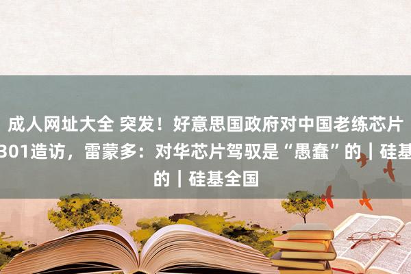 成人网址大全 突发！好意思国政府对中国老练芯片伸开301造访，雷蒙多：对华芯片驾驭是“愚蠢”的｜硅基全国