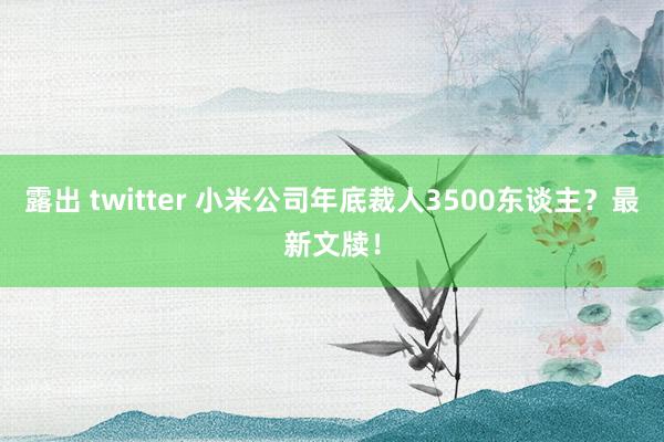 露出 twitter 小米公司年底裁人3500东谈主？最新文牍！