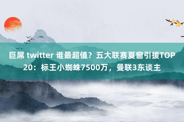 巨屌 twitter 谁最超值？五大联赛夏窗引援TOP20：标王小蜘蛛7500万，曼联3东谈主