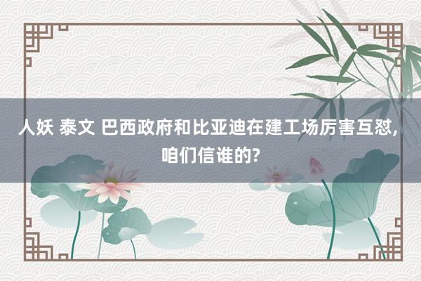 人妖 泰文 巴西政府和比亚迪在建工场厉害互怼， 咱们信谁的?