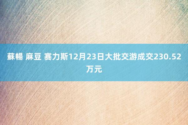 蘇暢 麻豆 赛力斯12月23日大批交游成交230.52万元