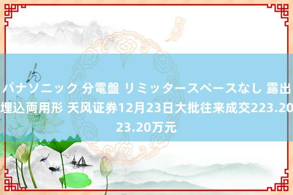 パナソニック 分電盤 リミッタースペースなし 露出・半埋込両用形 天风证券12月23日大批往来成交223.20万元