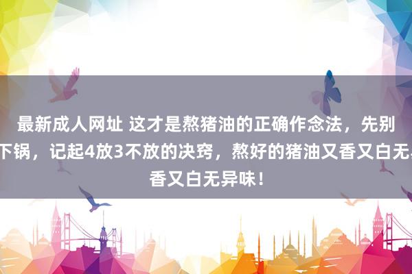 最新成人网址 这才是熬猪油的正确作念法，先别急着下锅，记起4放3不放的决窍，熬好的猪油又香又白无异味！