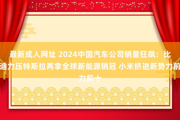 最新成人网址 2024中国汽车公司销量狂飙：比亚迪力压特斯拉再拿全球新能源销冠 小米挤进新势力前十