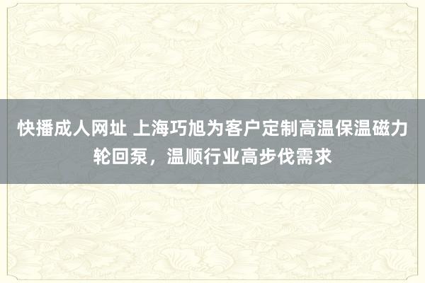 快播成人网址 上海巧旭为客户定制高温保温磁力轮回泵，温顺行业高步伐需求