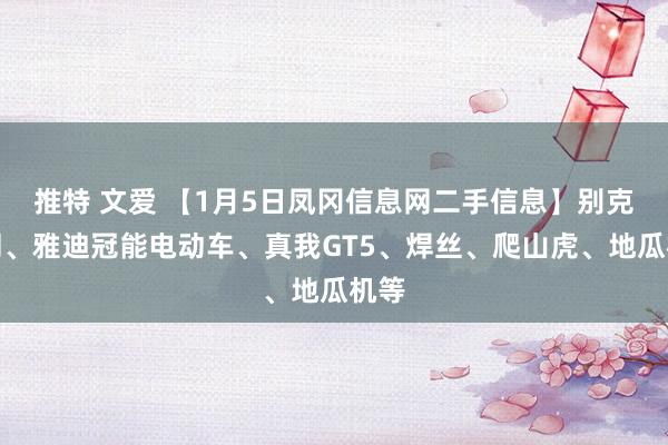 推特 文爱 【1月5日凤冈信息网二手信息】别克威朗、雅迪冠能电动车、真我GT5、焊丝、爬山虎、地瓜机等