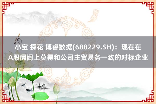 小宝 探花 博睿数据(688229.SH)：现在在A股阛阓上莫得和公司主贸易务一致的对标企业