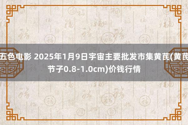 五色电影 2025年1月9日宇宙主要批发市集黄芪(黄芪节子0.8-1.0cm)价钱行情